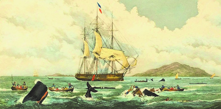 Immagine evento/mostra