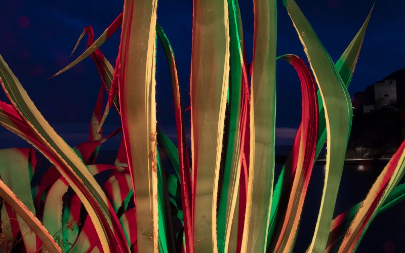 0013_ICarollo_OdS2025__06A2347 (1)