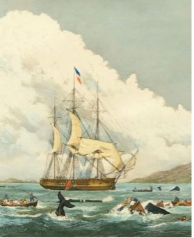 Ferdinando Fasce e Antonio Di Natale