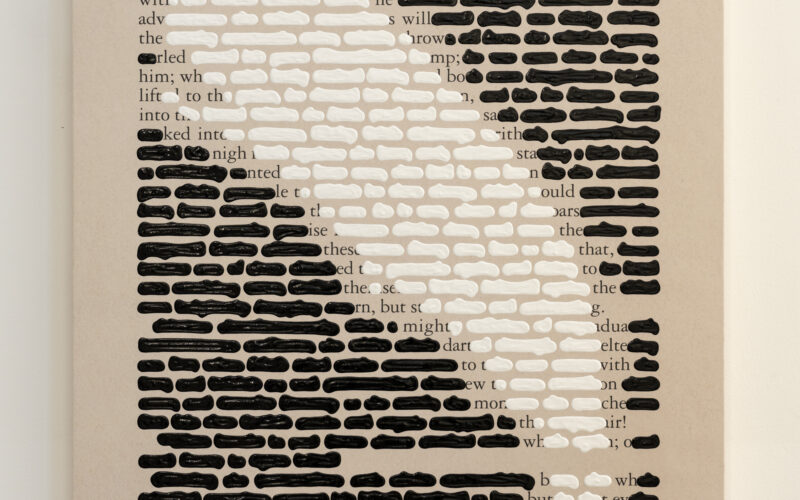 La balena e le ombre