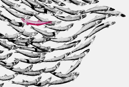 Festival della Scienza 2023, Impronte