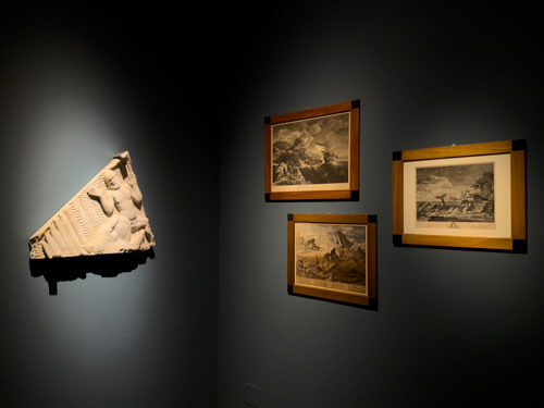 Allestimento mostra Moby Dick - La Balena