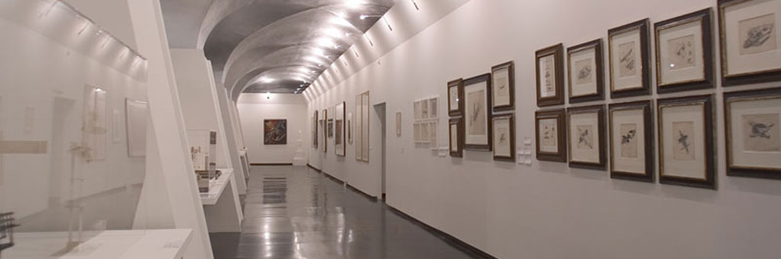 Palazzo Ducale di Genova - Sottoporticato