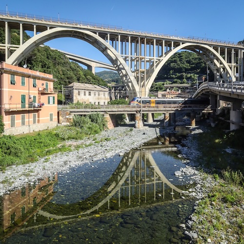 cerusa_500_baccani