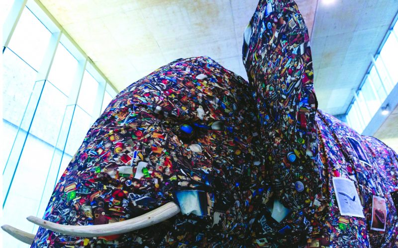 Due aziende, un solo scopo