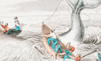 Racconta Ismaele. La balena tra mito e realtà