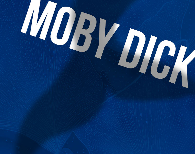Moby Dick – The Whale