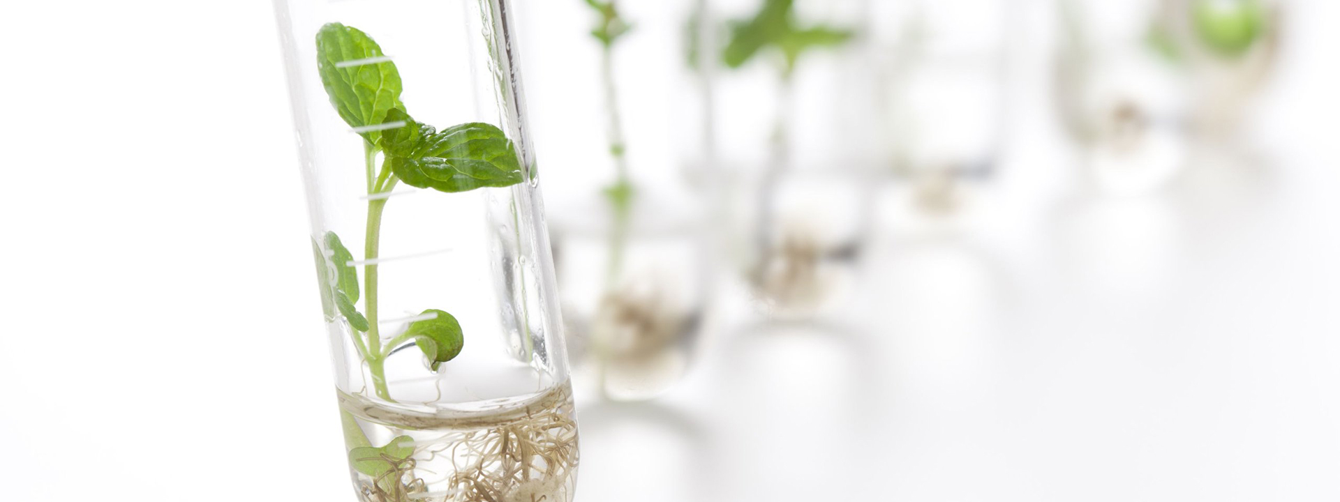 Scienza condivisa 2020