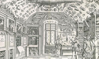 Scienza Condivisa, Le stanze delle meraviglie